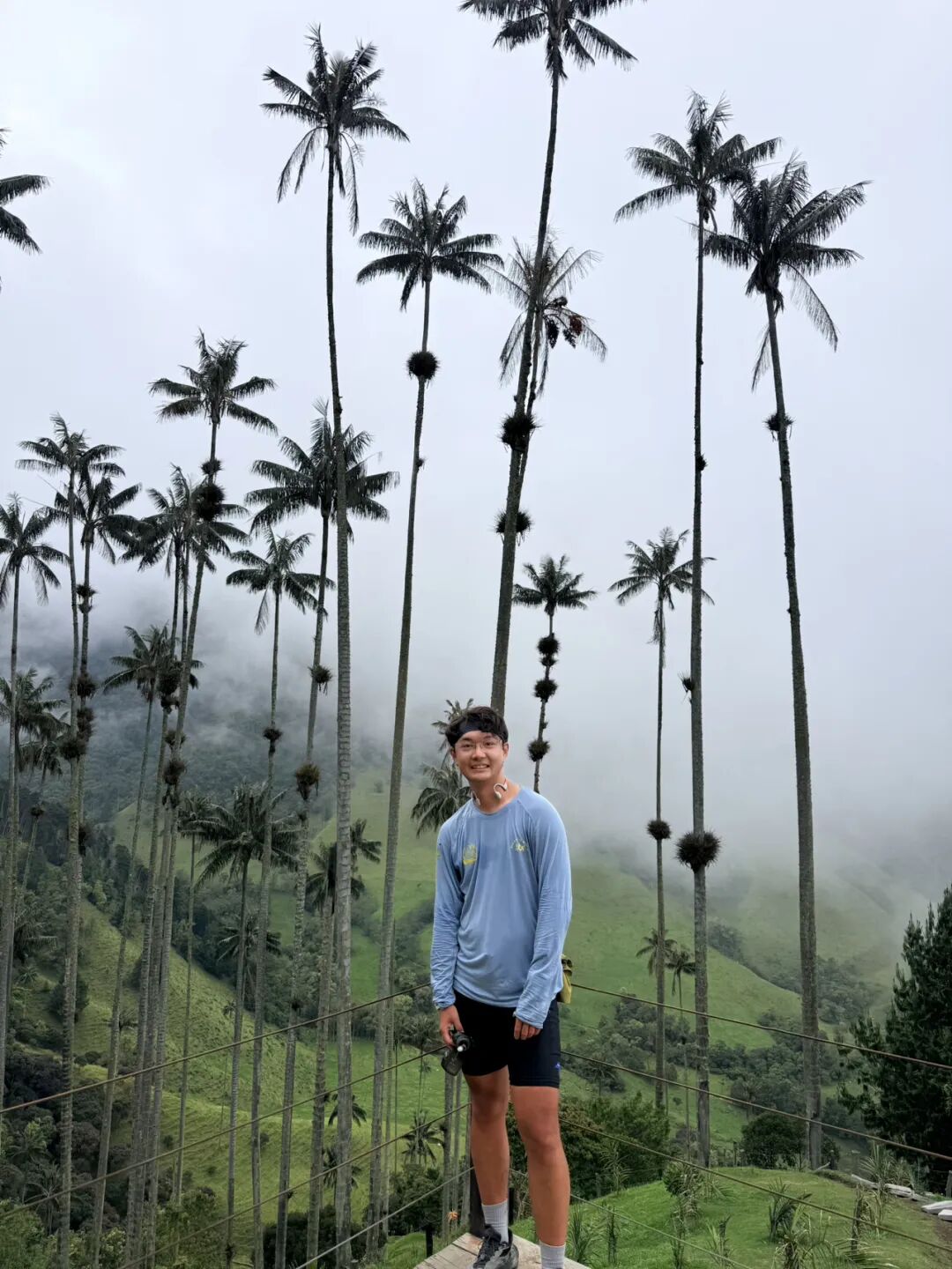 Cocora Valley 云雾中的蜡棕榈与旅行者